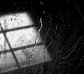 CD Janusz Bielecki Żądze - inside2